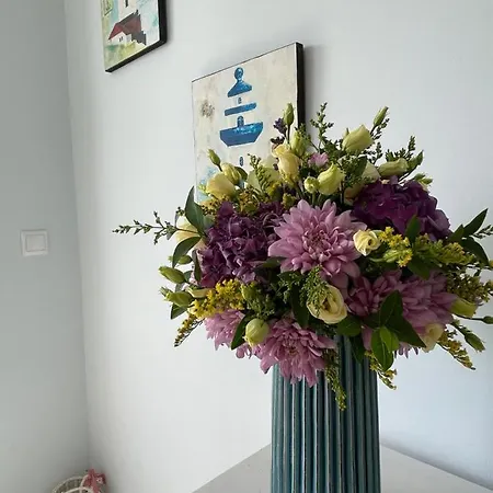 Charming Apartamento